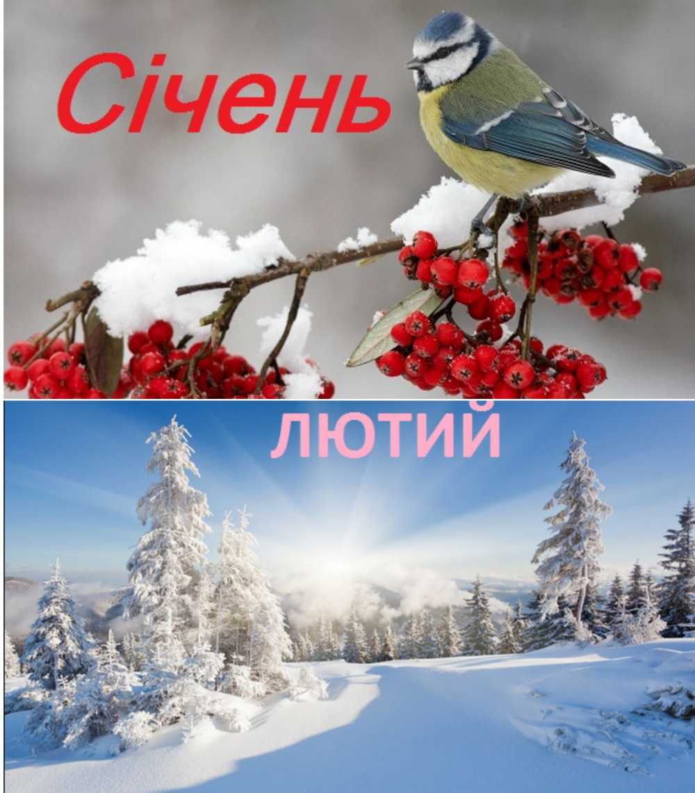 Палітра емоцій