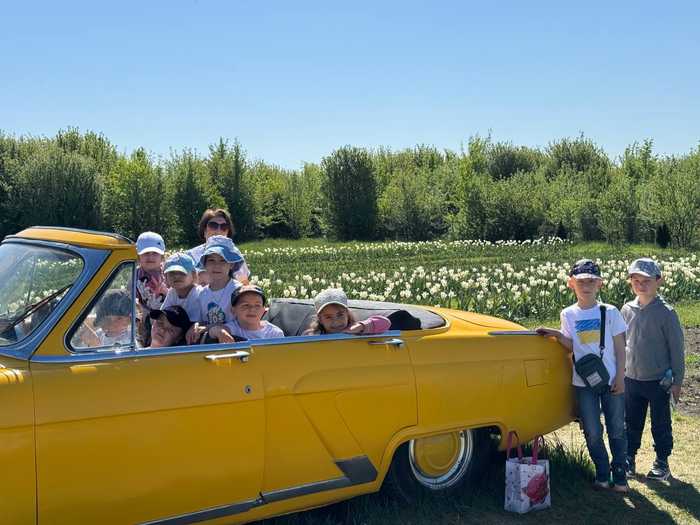            viber 2025 06 05 09 46 21 339