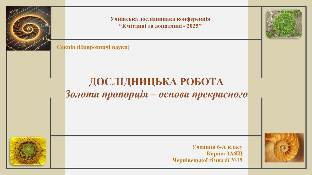 Дослідницька робота
