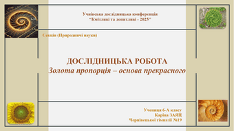 Дослідницька робота