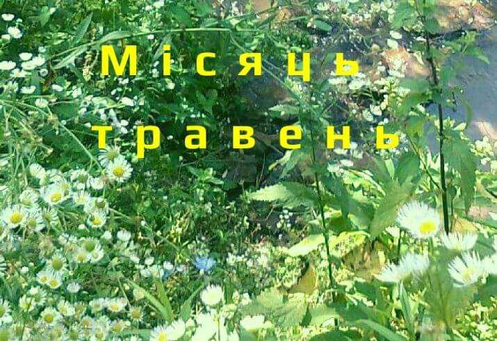 Солов'їний місяць